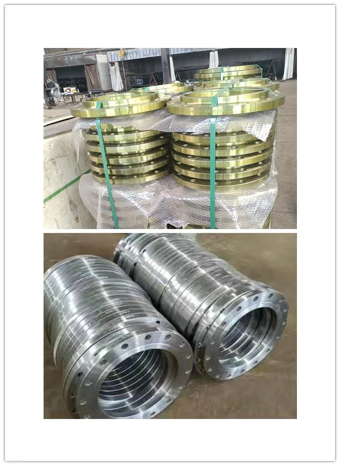 ANSI/DIN/En1092-1 Forged Carbon/Stainless Steel Pn10/16 Welding Neck/Blind/Slip on/Flat Plate/Socket RF/FF Pipe Flange