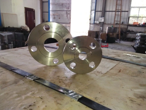 ANSI Customized Steel Stainless Welding Blind Threaded Forging Forged Flange