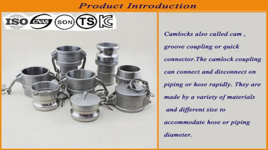 ANSI B16.5/ASTM A105 DIN/GOST/BS Acciaio al carbonio/Q235/Acciaio inossidabile FF RF Wn/So/Filetto/Piastra/Boccola Flangia forgiata Cina